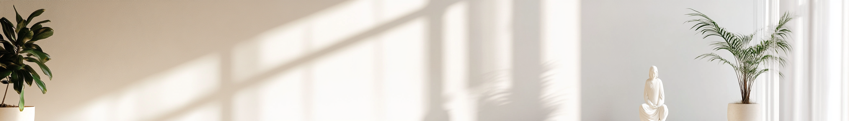 VOPSELE PENTRU INTERIOR